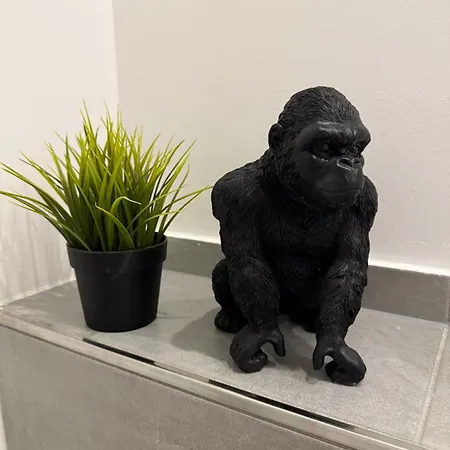 Penthouse Mit Sauna, Jacuzzi & Tischkicker