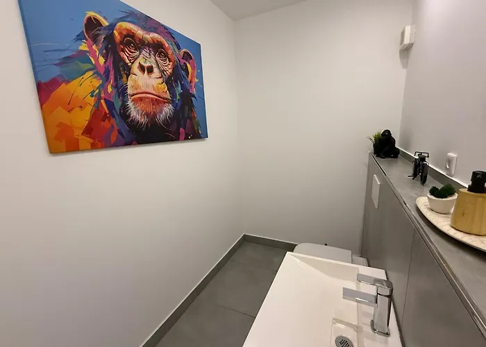 Penthouse Mit Sauna, Jacuzzi & Tischkicker Appartement